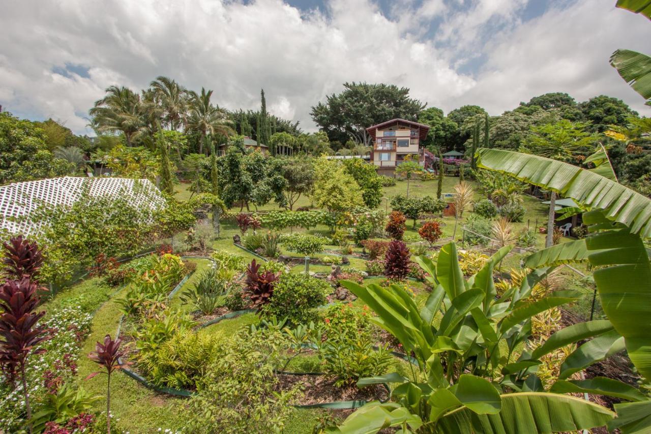 Banyan Tree Sanctuary Guest House Kalaoa Экстерьер фото